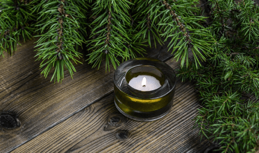 Reasons for the Season